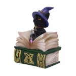 Nemesis Now - Coven Keepers: Binx - 11cm Figurine Box 801269140014 - Image 2