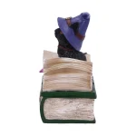 Nemesis Now - Coven Keepers: Binx - 11cm Figurine Box 801269140014 - Image 3
