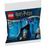 LEGO Harry Potter Harry Potter Draco για 6+ Ετών 29τμχ 30677