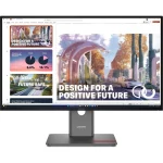 Lenovo ThinkVision P27QD-40 27" WQHD IPS Monitor 64B3GAT2EU