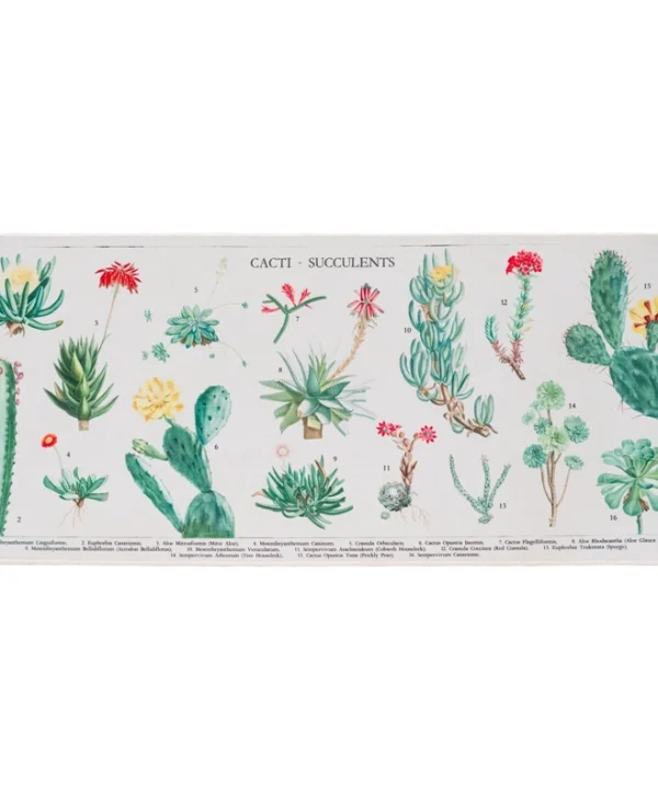 Grupo Erik Botanical Cacti Gaming Mouse Pad XXL 800mm 62181