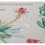 Grupo Erik Botanical Cacti Gaming Mouse Pad XXL 800mm 62181 - Image 2
