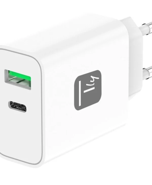 Techly Φορτιστής Χωρίς Καλώδιο με Θύρα USB-A και Θύρα USB-C 30W Λευκός (IPW-USB-30WACG) 621901