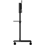 StarTech MBLTVSTNDEC Βάση Τηλεόρασης Δαπέδου έως 70" και 70kg - Image 4
