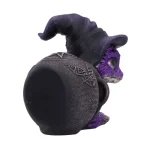 Nemesis Now Brew Tail U7218c25 U7218C25 - Image 4