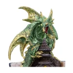 Nemesis Now Draconis Arcanum U7212c25 U7212C25 - Image 4