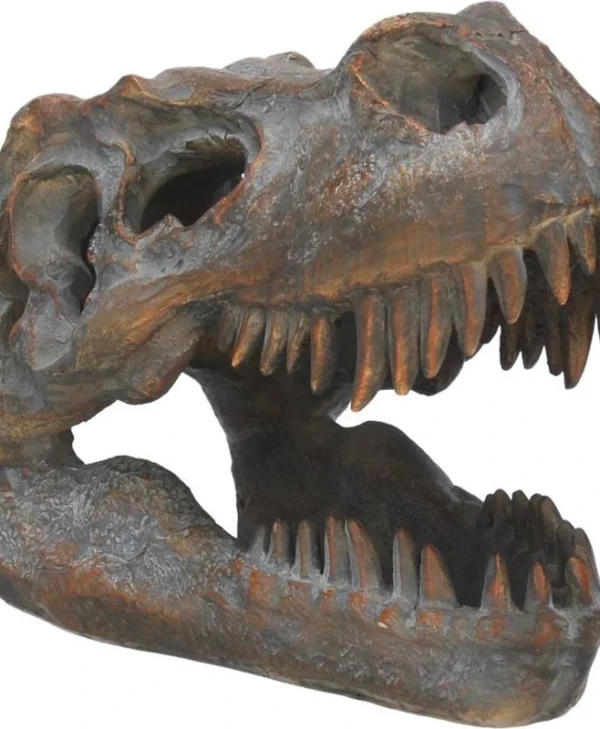 Nemesis Now Skull Φιγούρα ύψους 16εκ. D1245D5