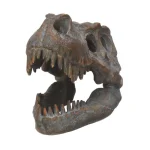 Nemesis Now Skull Φιγούρα ύψους 16εκ. D1245D5 - Image 2