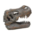 Nemesis Now Skull Φιγούρα ύψους 16εκ. D1245D5 - Image 6