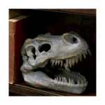 Nemesis Now Skull Φιγούρα ύψους 16εκ. D1245D5 - Image 7