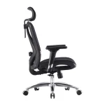Καρέκλα Γραφείου με Μπράτσα M57 Black Sihoo M57-M111 - Image 5