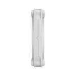 Momentum 12 Case 1st FD-F-MO1-1202 - Image 6
