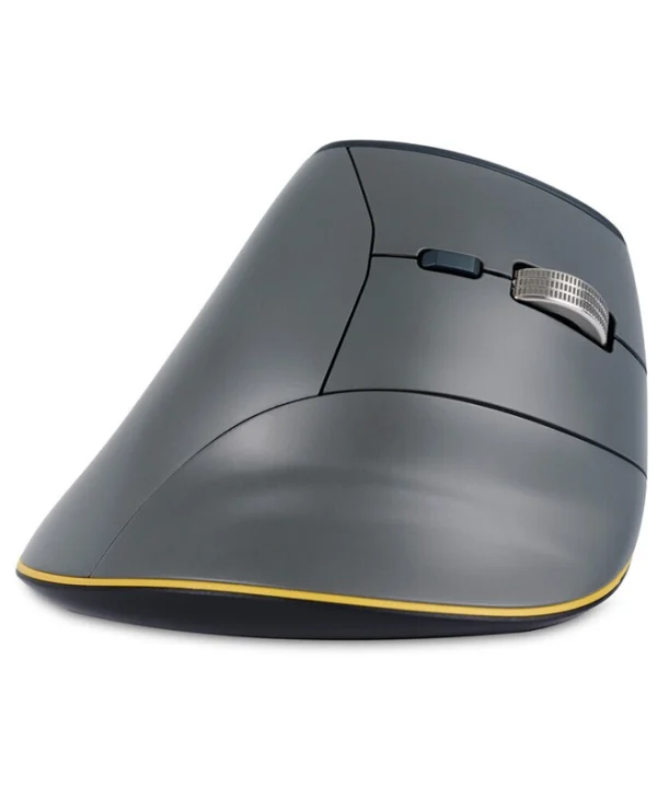 Bakker Elkhuizen FastForward 3-Mode Ασύρματο Εργονομικό Bluetooth Vertical Ποντίκι Γκρι BNEFF3MVM