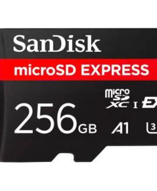 Sandisk Switch microSDHC 256GB Class 10 U3 V30 A1 UHS-I SDSQXFN-256G-GN4NN