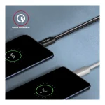 Axagon Braided USB 3.1 Cable USB-C male - USB-C 100W Μαύρο 1m (BUCM32-CM10AB) - Image 2
