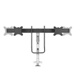 Neomounts Βάση Γραφείου για 2 Οθόνες έως 27" Λευκή (DS75S-950WH2)
