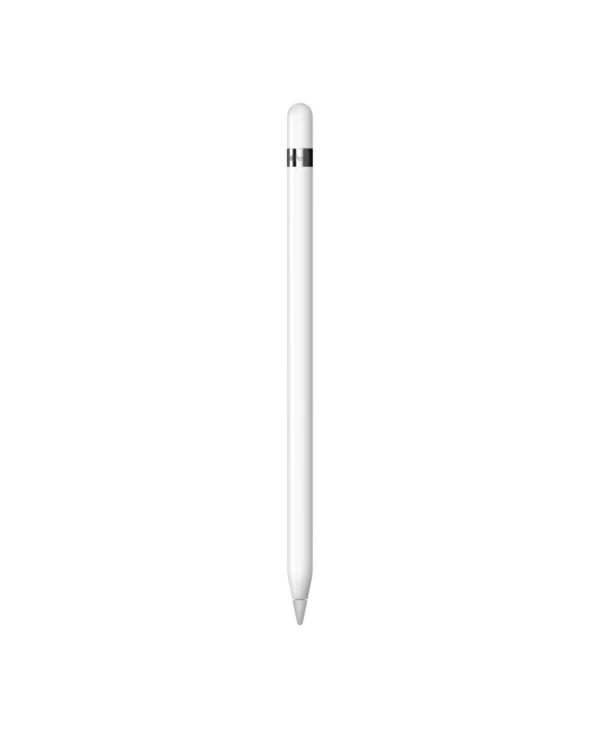 Apple Pencil (1st Generation) & USB-C Adapter Ψηφιακή Γραφίδα Αφής με Palm Rejection για iPad σε Λευκό χρώμα MYQW3ZM/A
