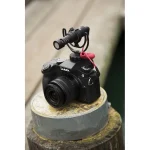 Shure SLXD24E/SM58 G59 Σετ Ασύρματο Μικρόφωνο Χειρός 010-04-876 - Image 4
