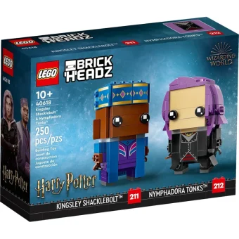 LEGO Harry Potter Kingsley Shacklebolt & Nymphadora Tonks για 10+ ετών Ετών 250τμχ 40618