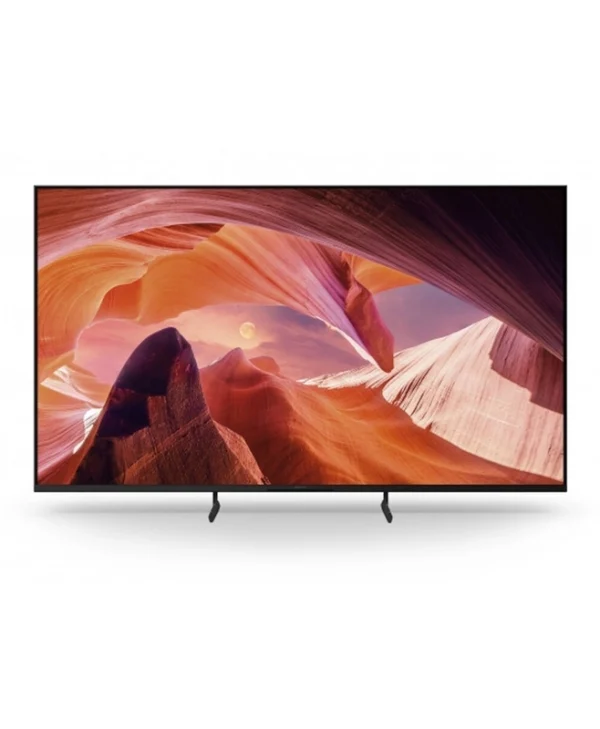 Sony Bravia Professional Displays Public Display LED 65" HDR