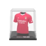 Fancollex Myjersey Benfica Home 2024/25 Vangelis Pavlidis 01my00024 - Image 4
