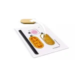 LEGO Τουβλάκια Lucky Cat για 9+ ετών Ετών 280τμχ 40813 - Image 3