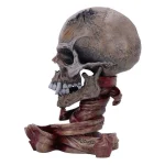 Nemesis Now Pushead Skull Φιγούρα ύψους 24εκ. - Image 4