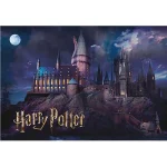 Harry Potter Hogwarts School 2D 1000pcs - Image 3