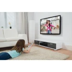 Techly ICA-PLB 162M Βάση Τηλεόρασης Τοίχου έως 55" και 45kg - Image 4