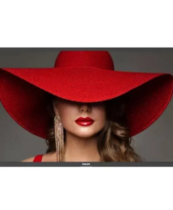 Philips Dline Public Display LED 55"