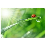 Esperanza EA133 Mouse Pad 240mm Earth EA133 - Image 6
