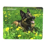 Esperanza EA133 Mouse Pad 240mm Earth EA133 - Image 7