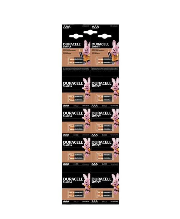 Duracell HDBC LR03 AAA Alkaline Battery 20 pieces 5000394145771