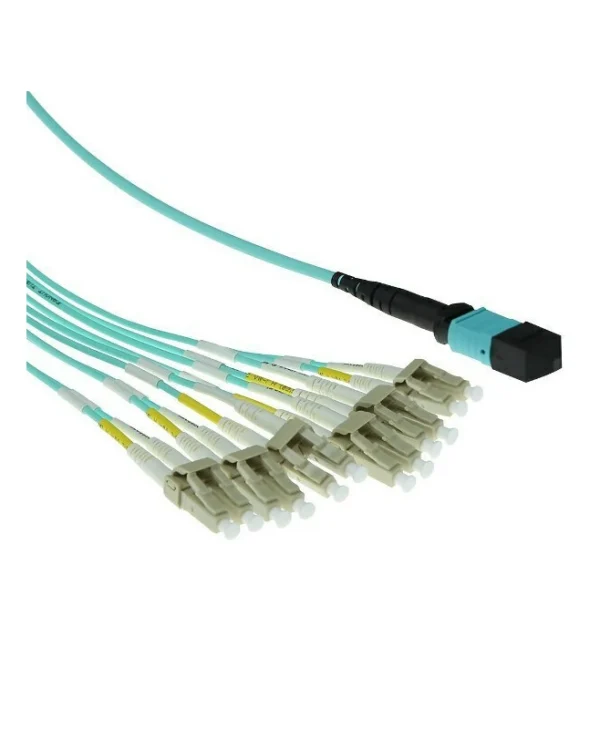 Roline F/O MPO- fan-out 12 x OM3 - 2m