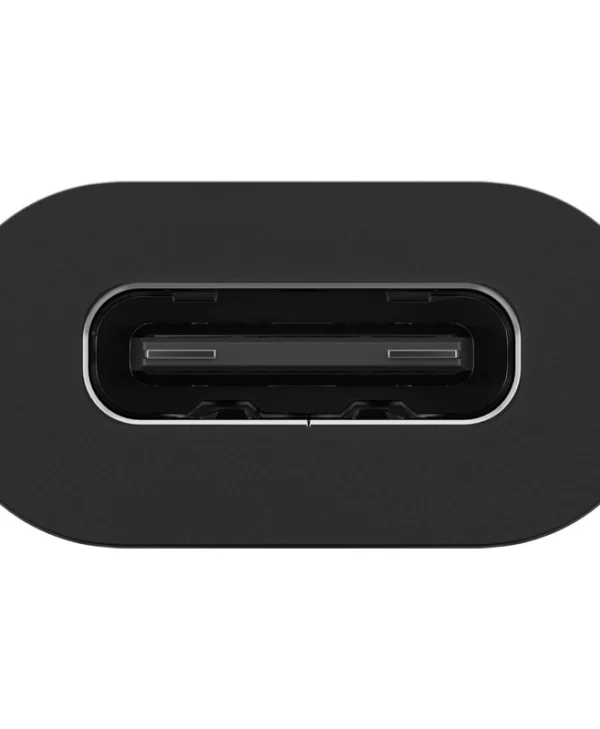 Goobay Μετατροπέας USB-C female σε USB-C female 1τμχ 45401 45401