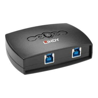 Lindy KVM & Data Switch 43141 43141