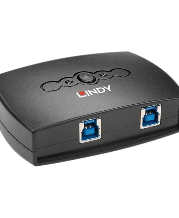 Lindy KVM & Data Switch 43141 43141