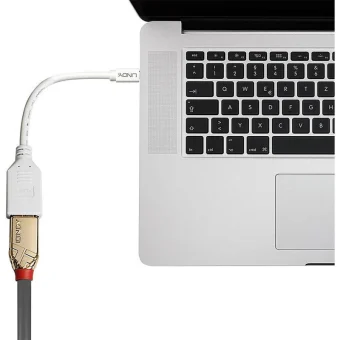 Lindy Μετατροπέας mini DisplayPort male σε DisplayPort female Λευκό 1τμχ 41021 41021