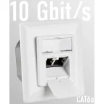EFB Μονή Πρίζα Δικτύου RJ45 με Πλαίσιο Τύπου Cat6 σε Λευκό Χρώμα EC020400002 EC020400002 - Image 2