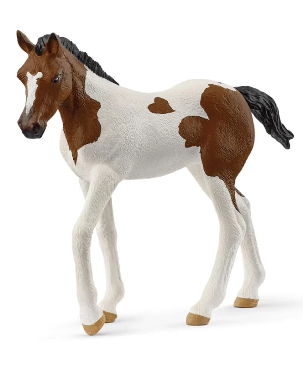 Slh Paint Horse Foal 14899 70451 14899