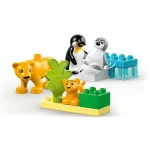 LEGO Duplo Wild Animal Families: Penguins & Lions για 2+ Ετών 10τμχ - Image 6