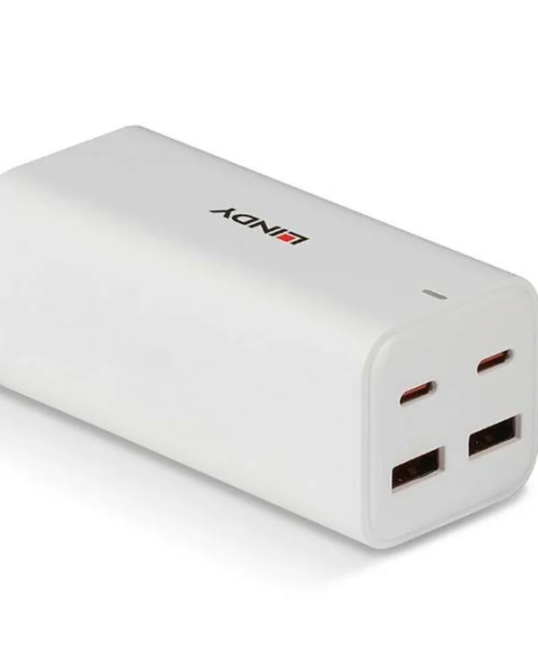 Lindy Βάση Φόρτισης με 2 Θύρες USB-A και 2 Θύρες USB-C 100W Power Delivery σε Λευκό χρώμα (73441) 73441