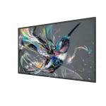 Philips 50BDL3511Q Public Display VA 4K UHD 50" - Image 2