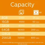 Philips SDXC 64GB Class 10 U1 UHS-I με αντάπτορα - Image 5