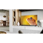 Sharp Τηλεόραση 40" Full HD LED 40HA1205E (2025) 40HA1205E - Image 3