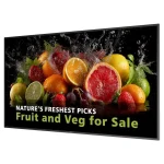 Philips Dline Public Display ADS / LED 65"