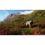 Way of the Hunter Wild Expeditions PS5 Game - Image 12