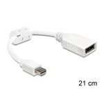 DeLock Μετατροπέας DisplayPort male σε DisplayPort female Λευκό 1τμχ 65427 65427