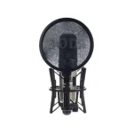 Rode NT2-A Σετ Πυκνωτικό Μικρόφωνο XLR Shock Mounted για Φωνητικά σε Χρυσό Χρώμα NT2A - Image 3