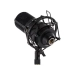 MXL 770 Πυκνωτικό Μικρόφωνο XLR Shock Mounted για Φωνητικά - Image 4